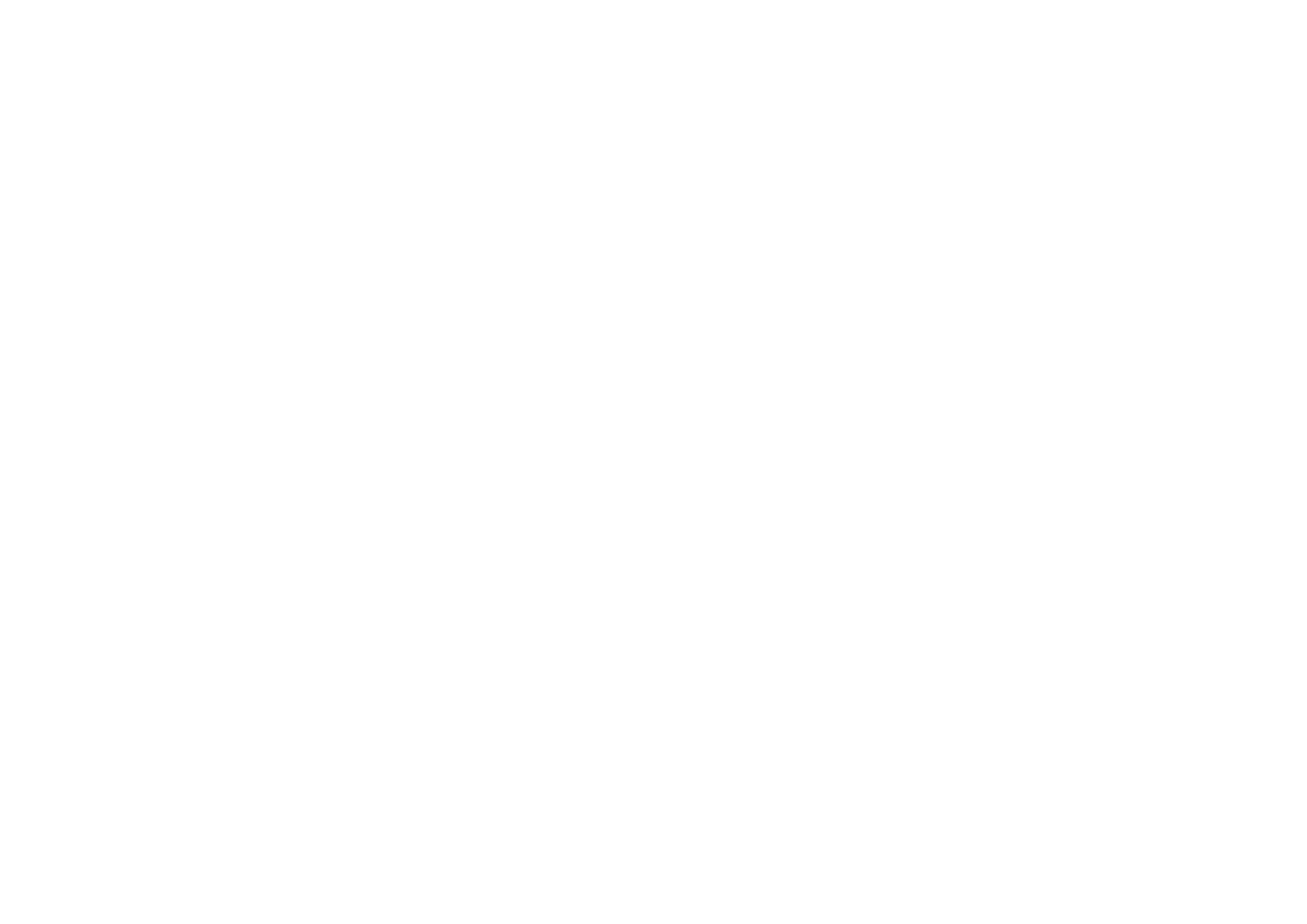 Zori Timeless