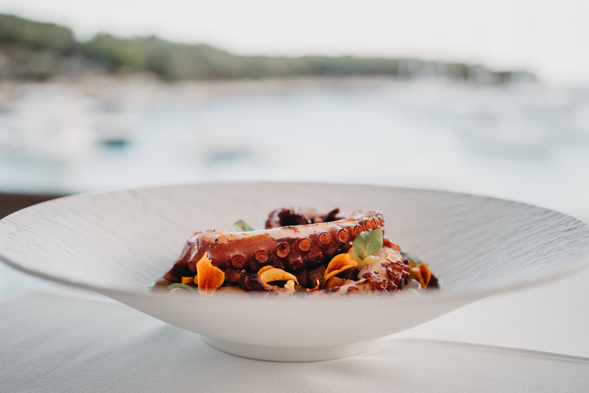 Grilled octopus over Vinogradišće bay at Zori Restaurant, Palmižana, Pakleni Islands